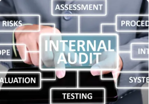 Internal Audit and Control
